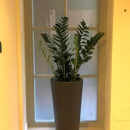 Alojamento de Acomodação e Pequeno-almoço Luxory Loft
