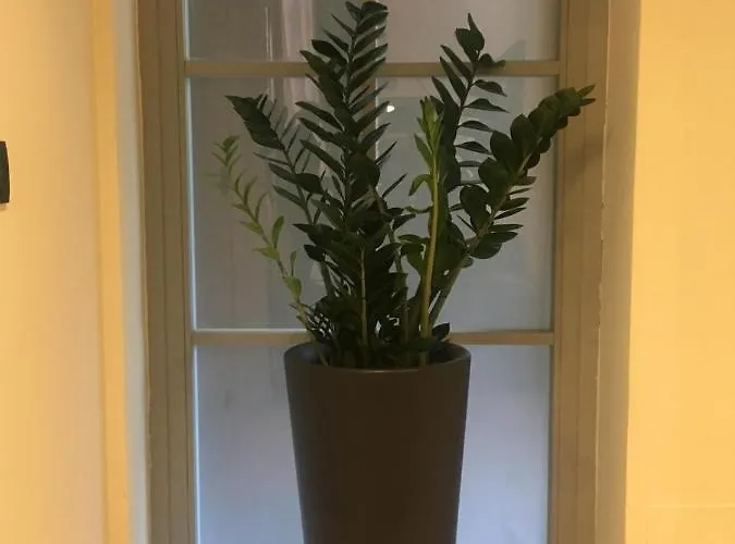 住宿加早餐酒店 Luxory Loft 4*